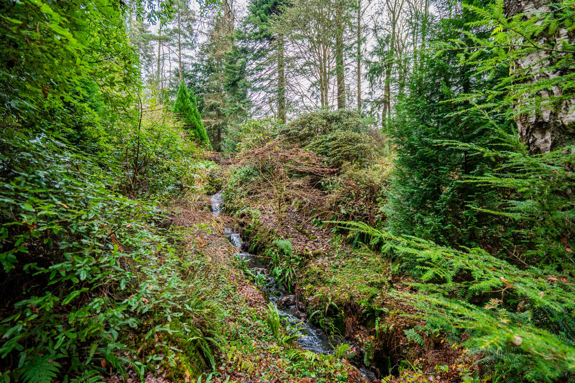 3 bed detached house for sale in Glen Road, Dunblane, FK15  - Property Image 30