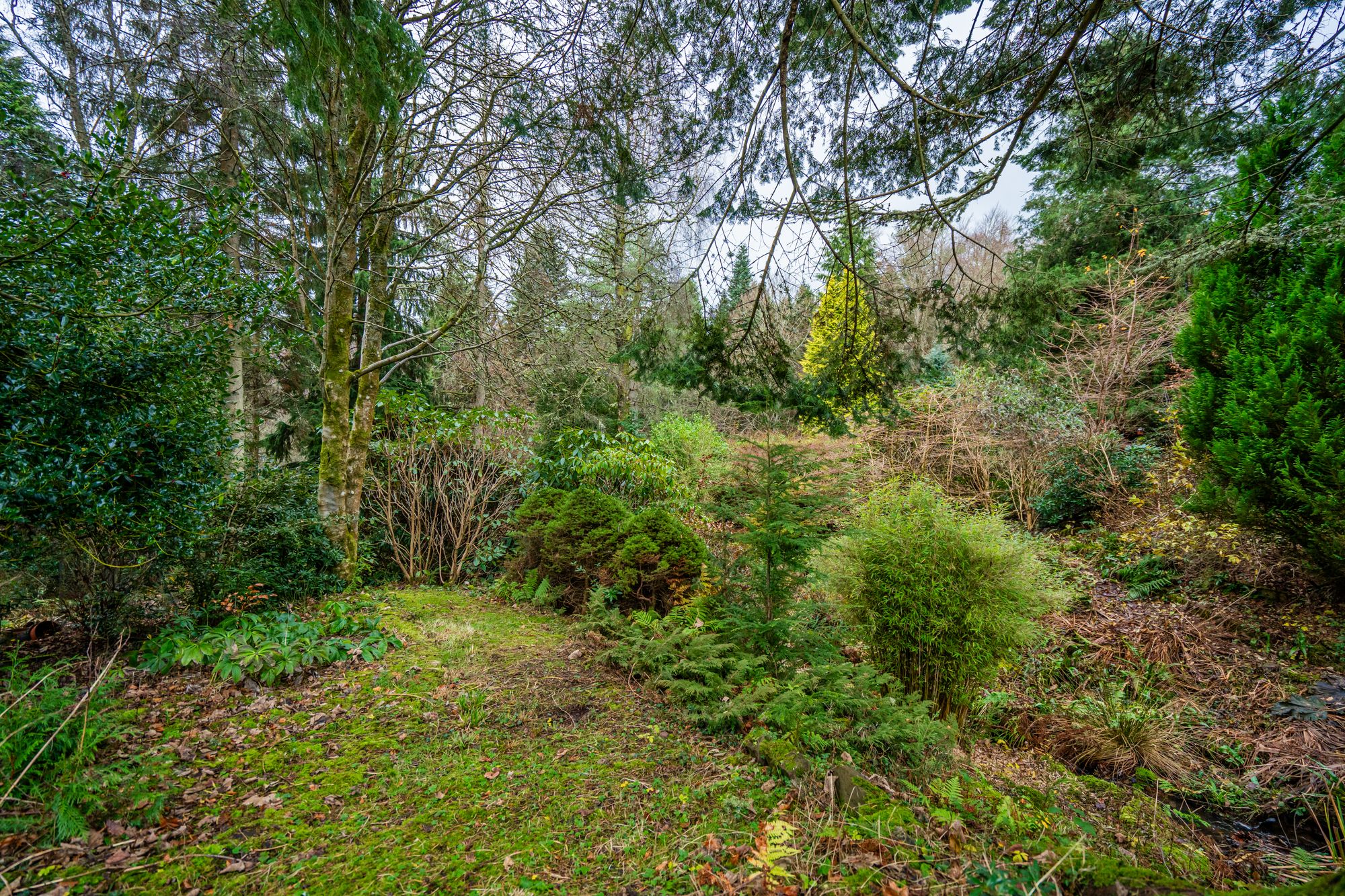 3 bed detached house for sale in Glen Road, Dunblane, FK15  - Property Image 31