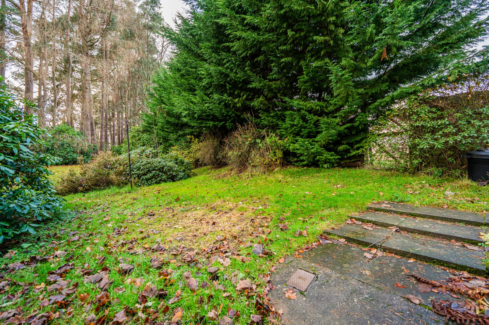 2 bed detached cottage for sale in Glen Road, Dunblane, FK15  - Property Image 19