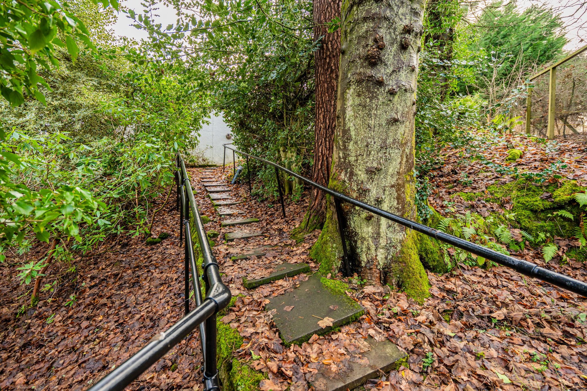2 bed detached cottage for sale in Glen Road, Dunblane, FK15  - Property Image 21
