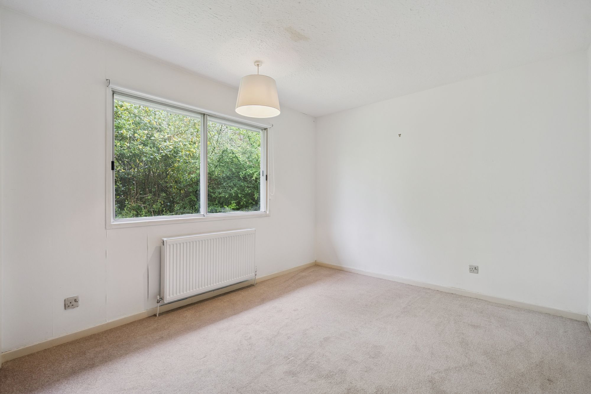 3 bed detached bungalow for sale in Anderson Court, Dunblane, FK15  - Property Image 15