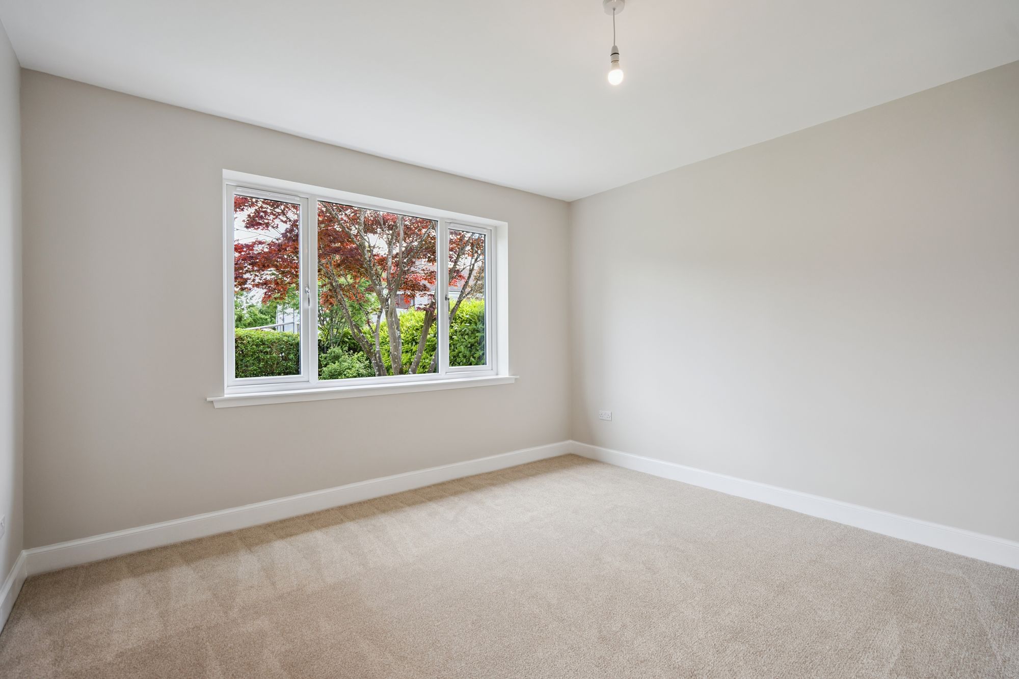 3 bed detached bungalow for sale in Dunster Road, Stirling, FK9 - Property Image 5