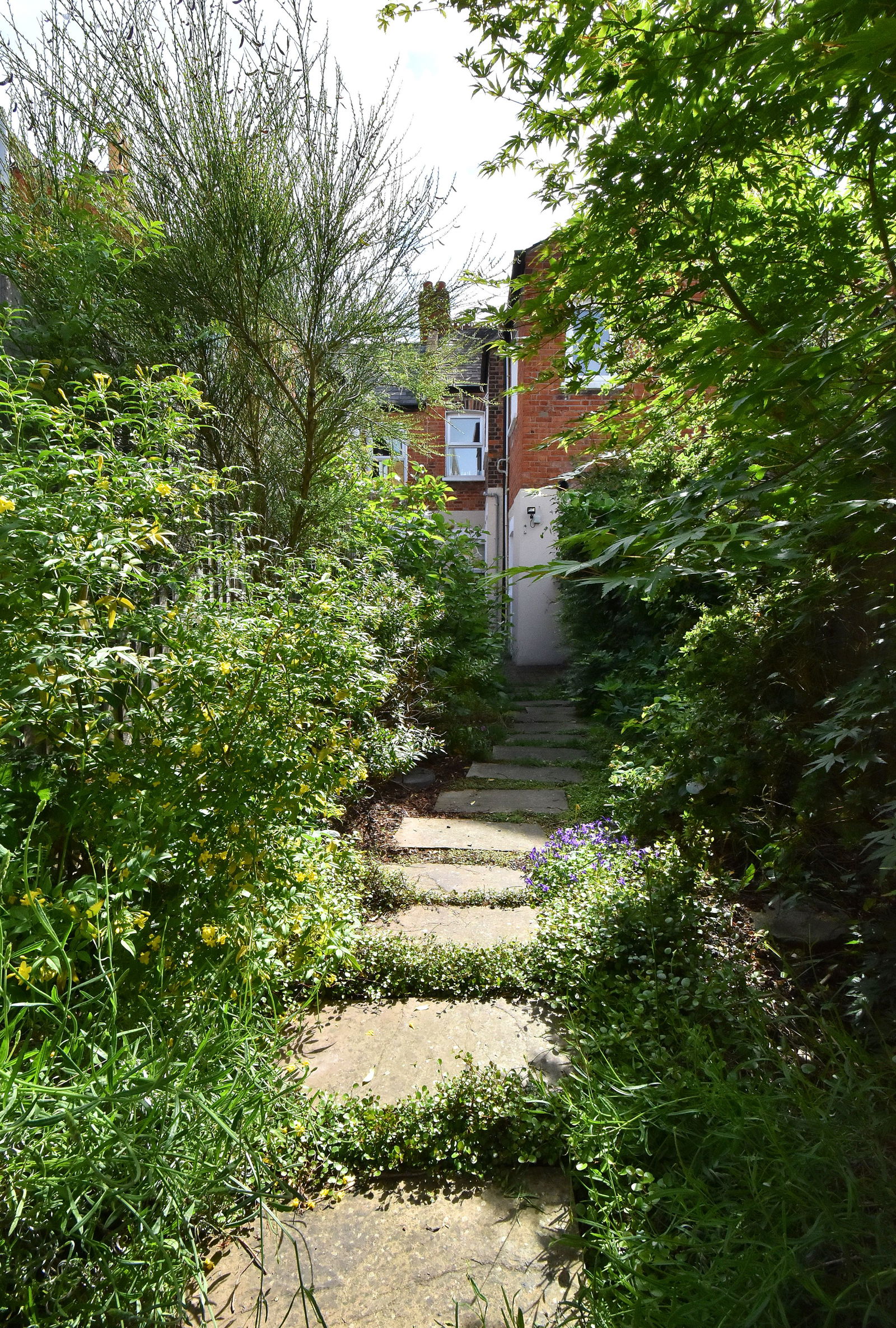 1 bed ground floor flat to rent in Farren Road, Forest Hill, London, SE23 2EA  - Property Image 9