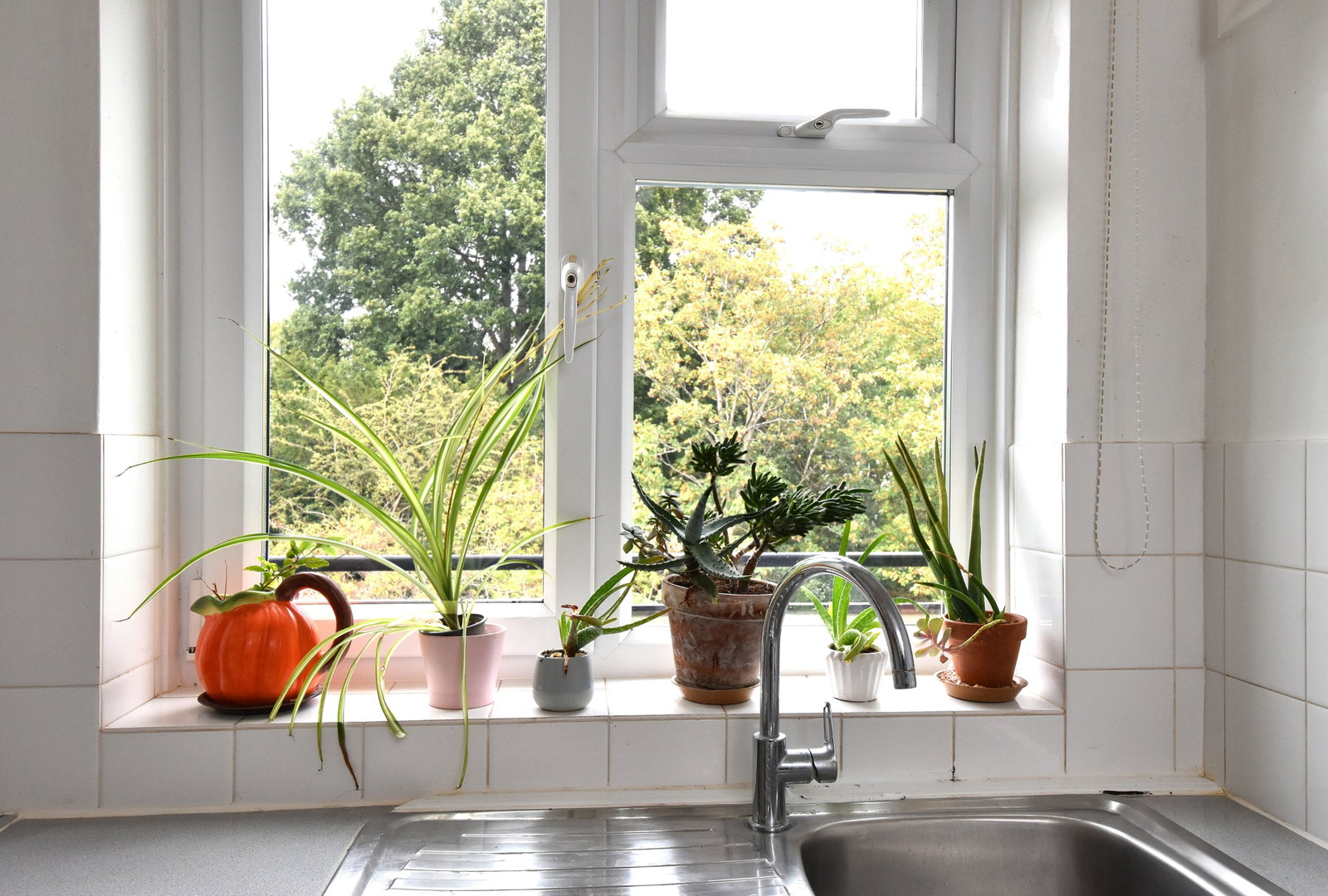 2 bed flat for sale in Longfield Crescent, London, SE26 4DU  - Property Image 14