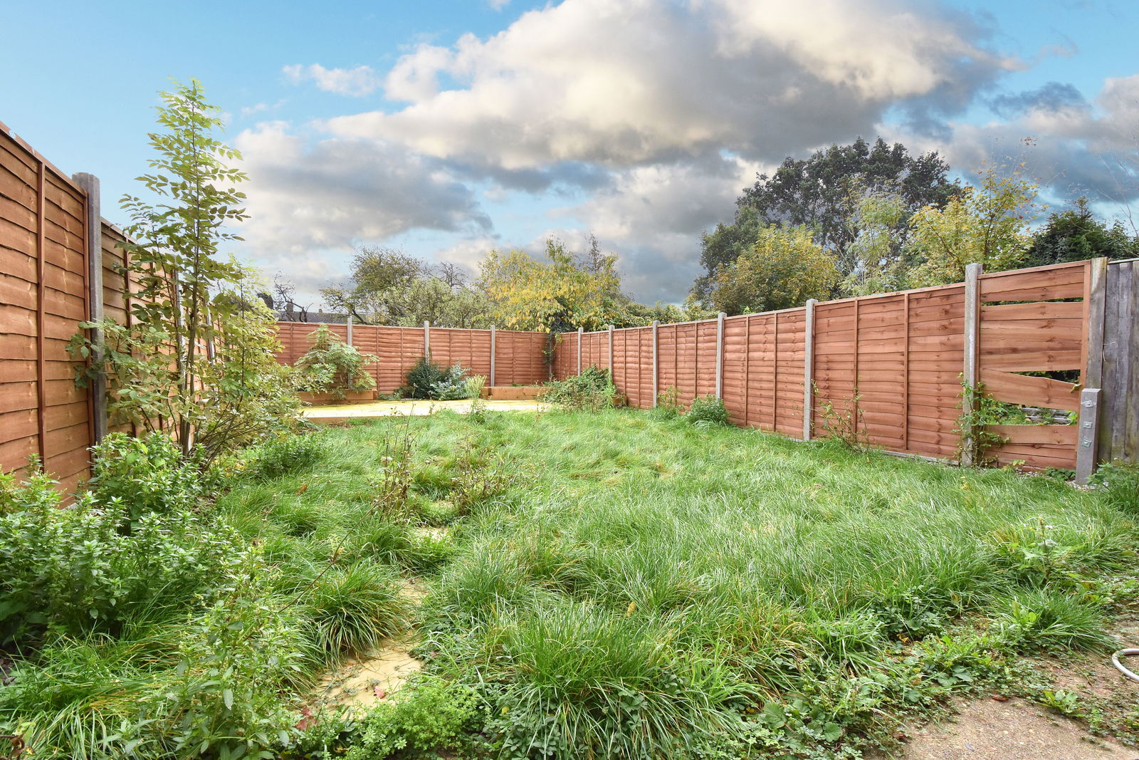 3 bed semi-detached house to rent in Brockill Crescent, London, SE4 2QD  - Property Image 9