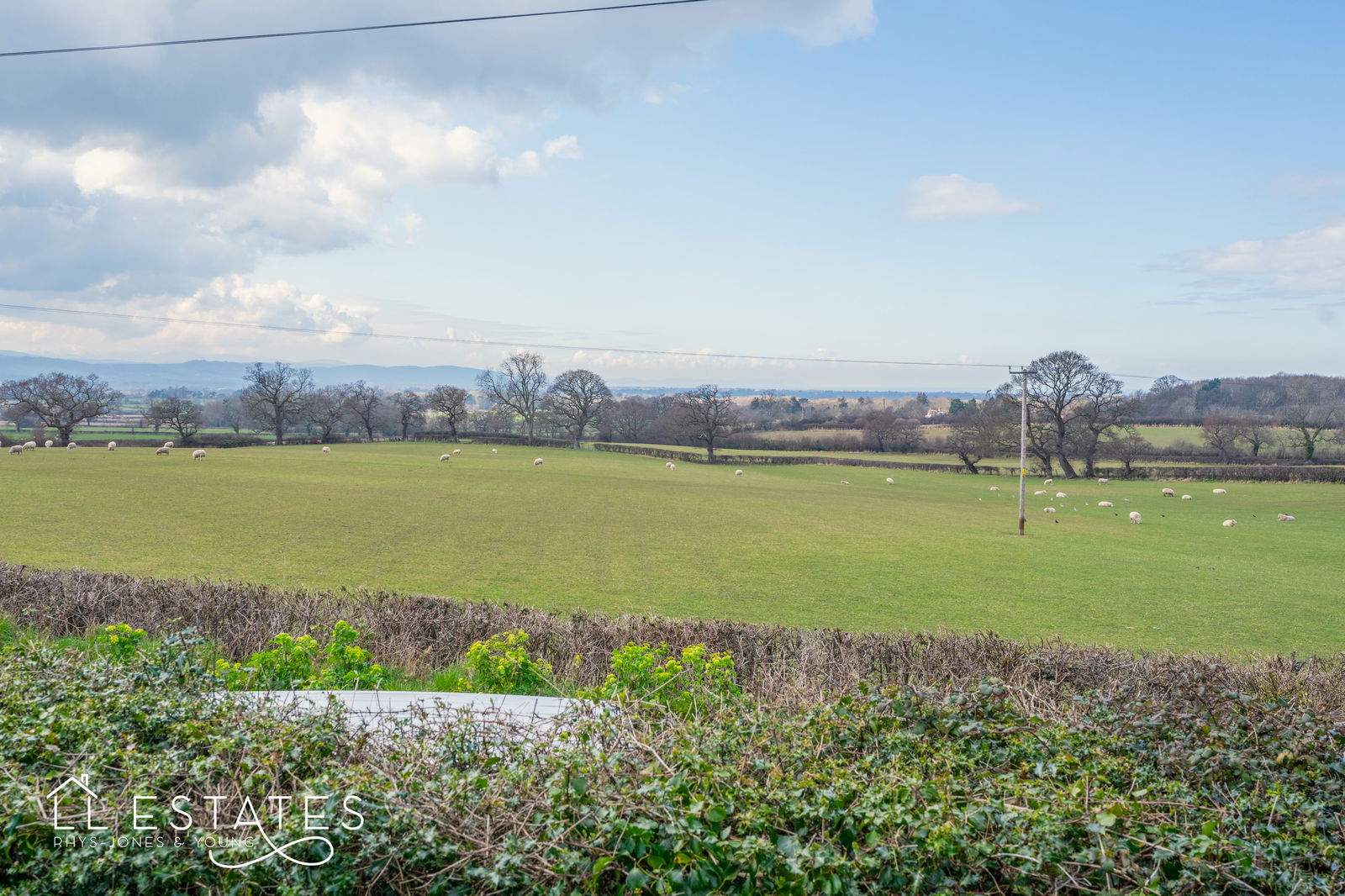 2 bed bungalow for sale in St. Asaph Road, Dyserth 13
