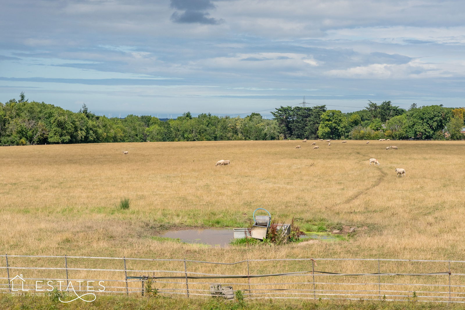 3 bed bungalow for sale in Allt Goch, St. Asaph 13