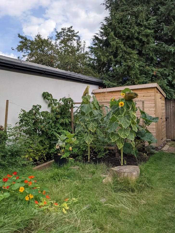 3 bed terraced house to rent in Elm Close  - Property Image 9