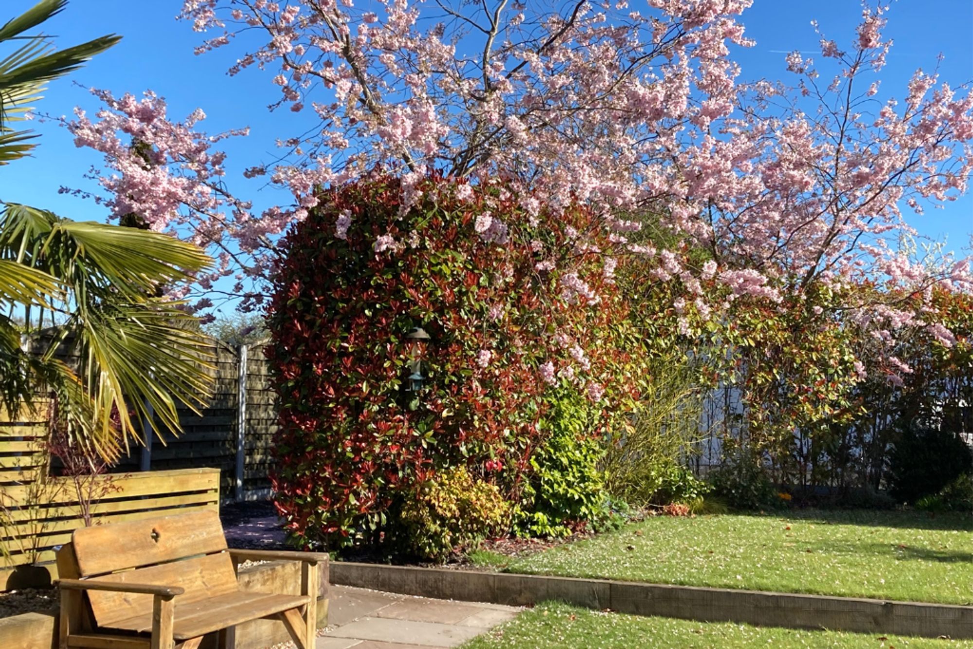 3 bed detached house for sale in Bank Street, Glazebrook, WA3 39