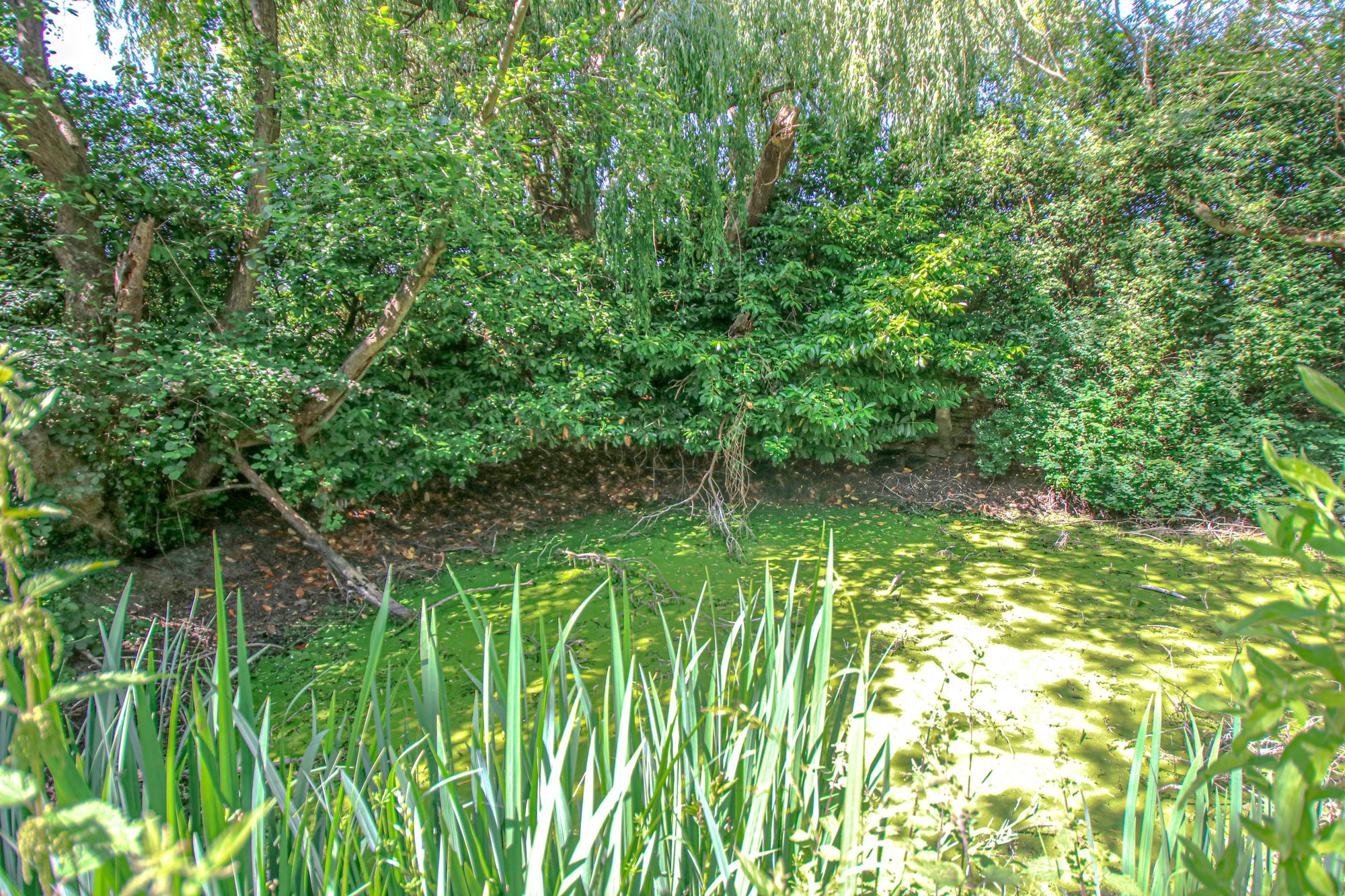 4 bed detached house for sale in Moss Side Lane, Rixton, WA3  - Property Image 46