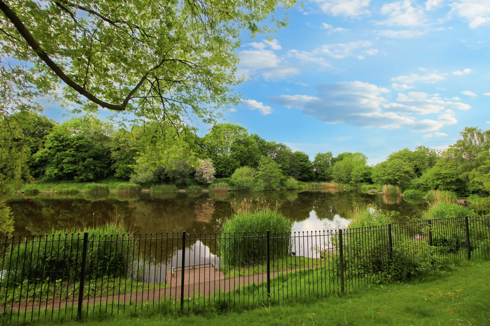 2 bed apartment to rent in Queensmere Drive, Manchester  - Property Image 2