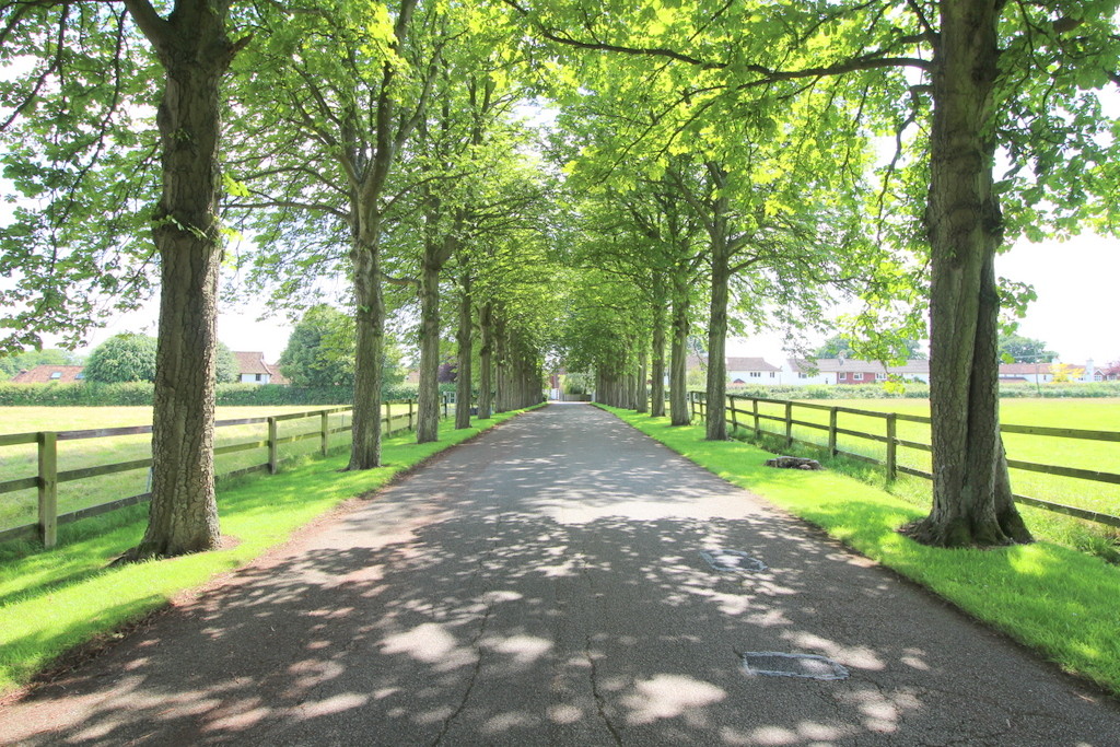 1 bed detached house to rent in The Old Sussex Stud - Property Image 13