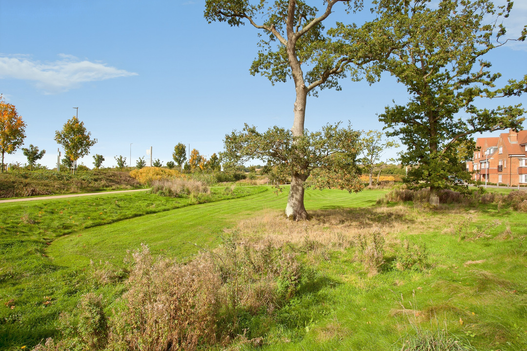 4 bed end of terrace house for sale in Millpond Lane, Horsham, West Sussex  - Property Image 17