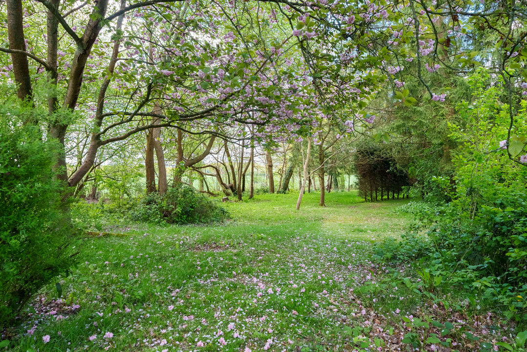 4 bed detached house for sale in South Lodge, Buchan Hill, Pease Pottage, Crawley  - Property Image 24