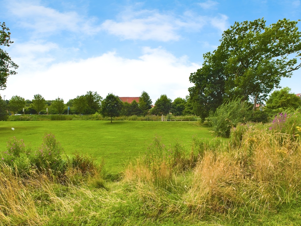 2 bed apartment for sale in Lodge House, Millpond Lane, Faygate  - Property Image 13