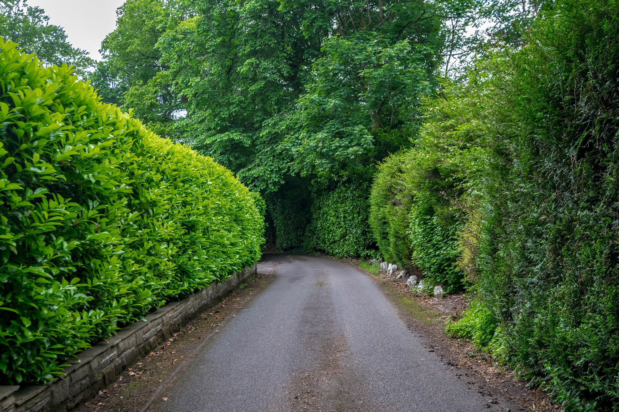 7 bed detached house for sale in Chorley New Road, Bolton 45