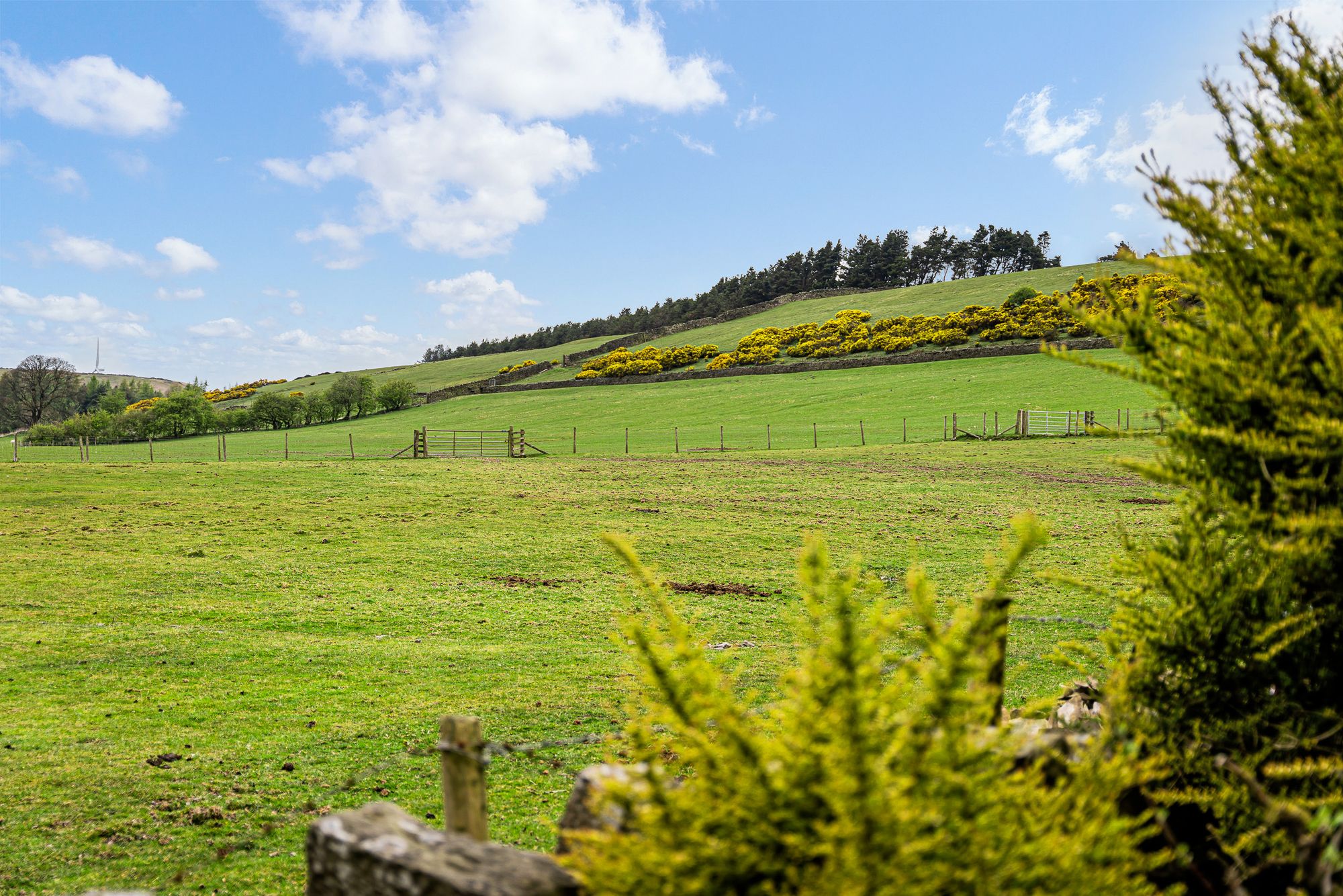 6 bed detached house for sale in Grane Road, Rossendale  - Property Image 18