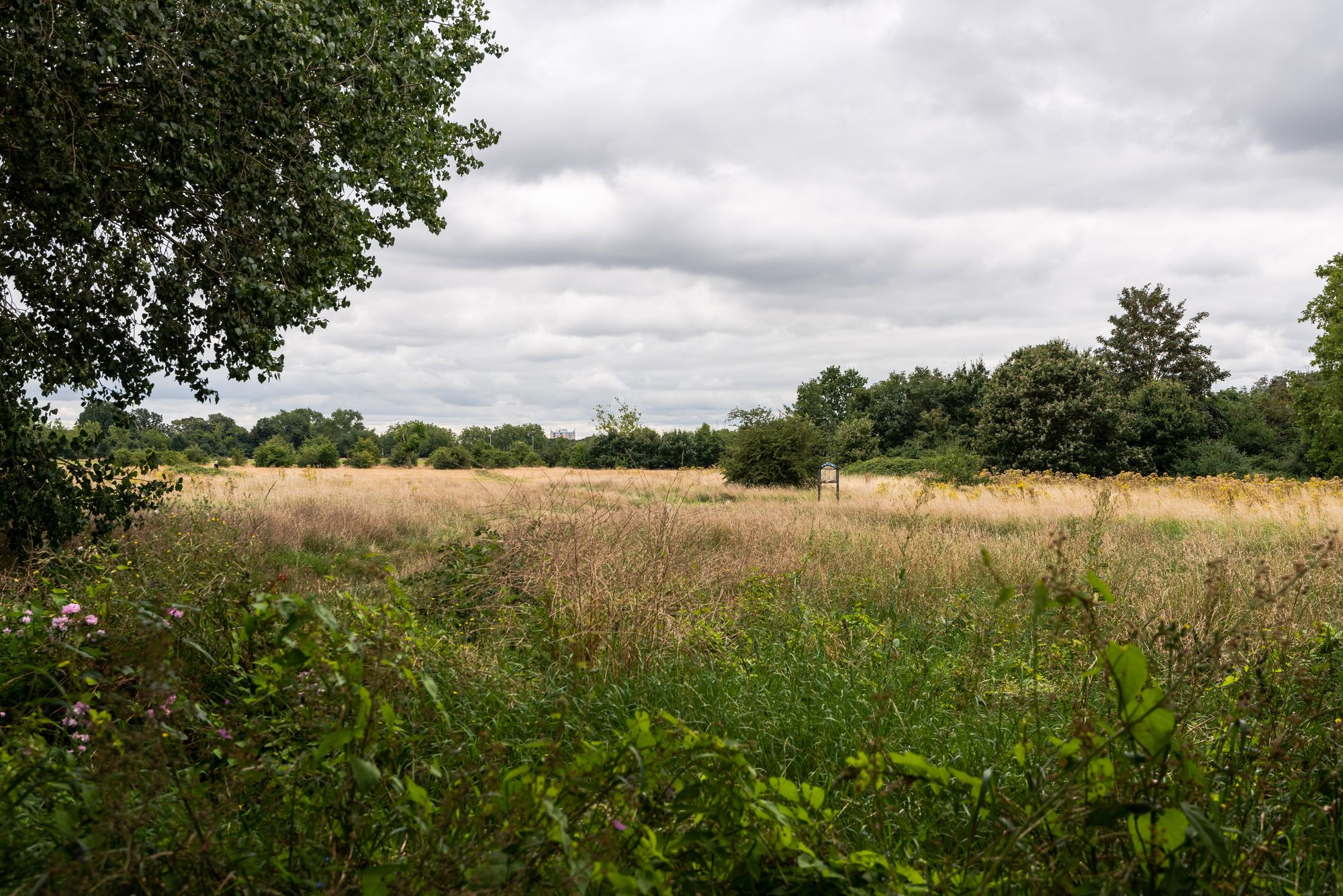 3 bed end of terrace house for sale in Stanmore Road, Bushwood, London, E11  - Property Image 40