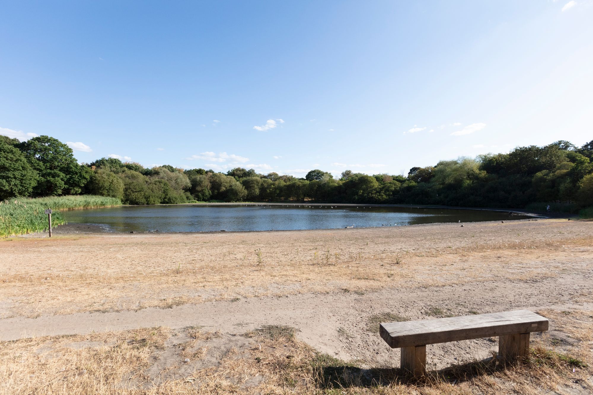 2 bed flat for sale in Queenswood Gardens, Aldersbrook, London, E11  - Property Image 45