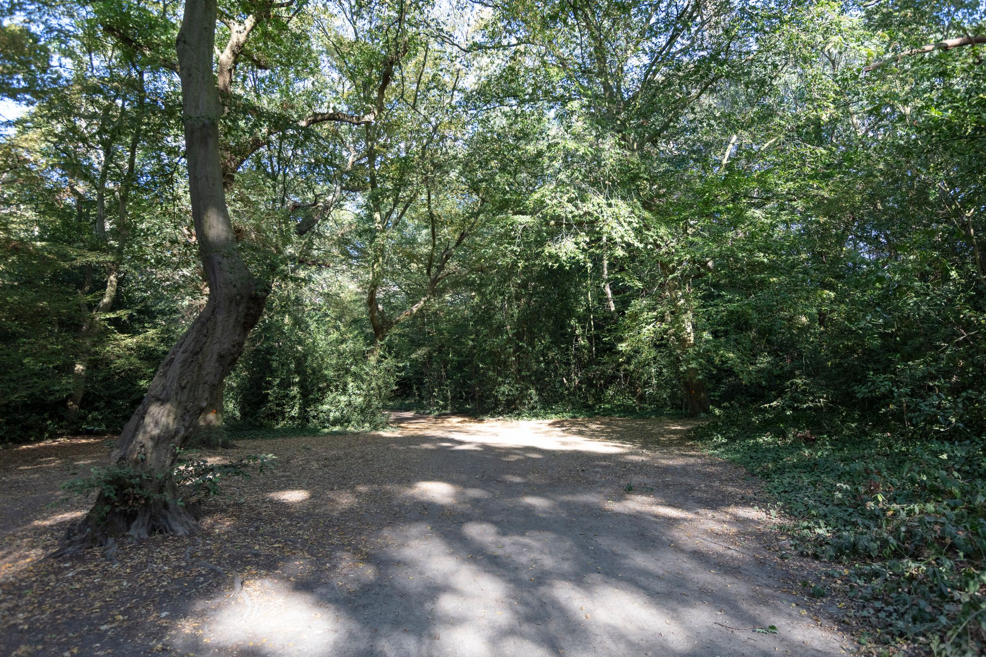 2 bed flat for sale in Queenswood Gardens, Aldersbrook, London, E11  - Property Image 41