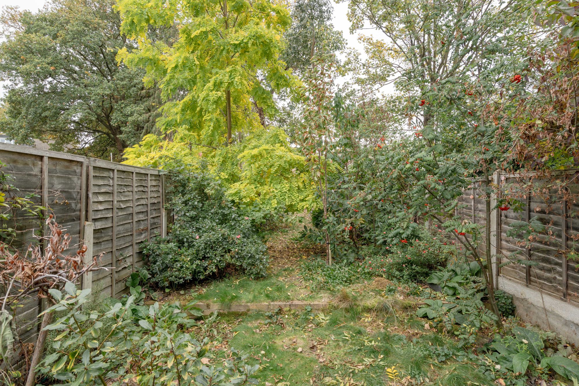 3 bed terraced house for sale in Esther Road, Upper Leytonstone, London, E11  - Property Image 25