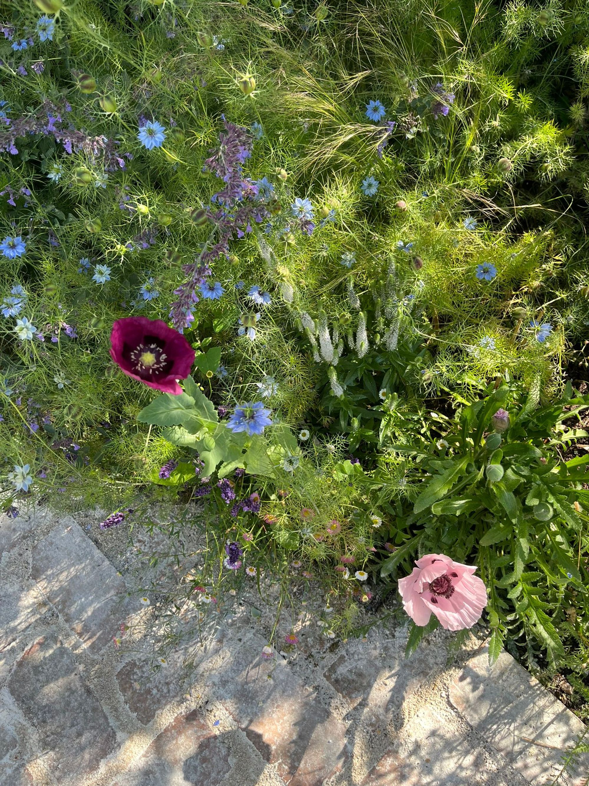 2 bed terraced house for sale in Farmer Road, Leyton, London, E10  - Property Image 33