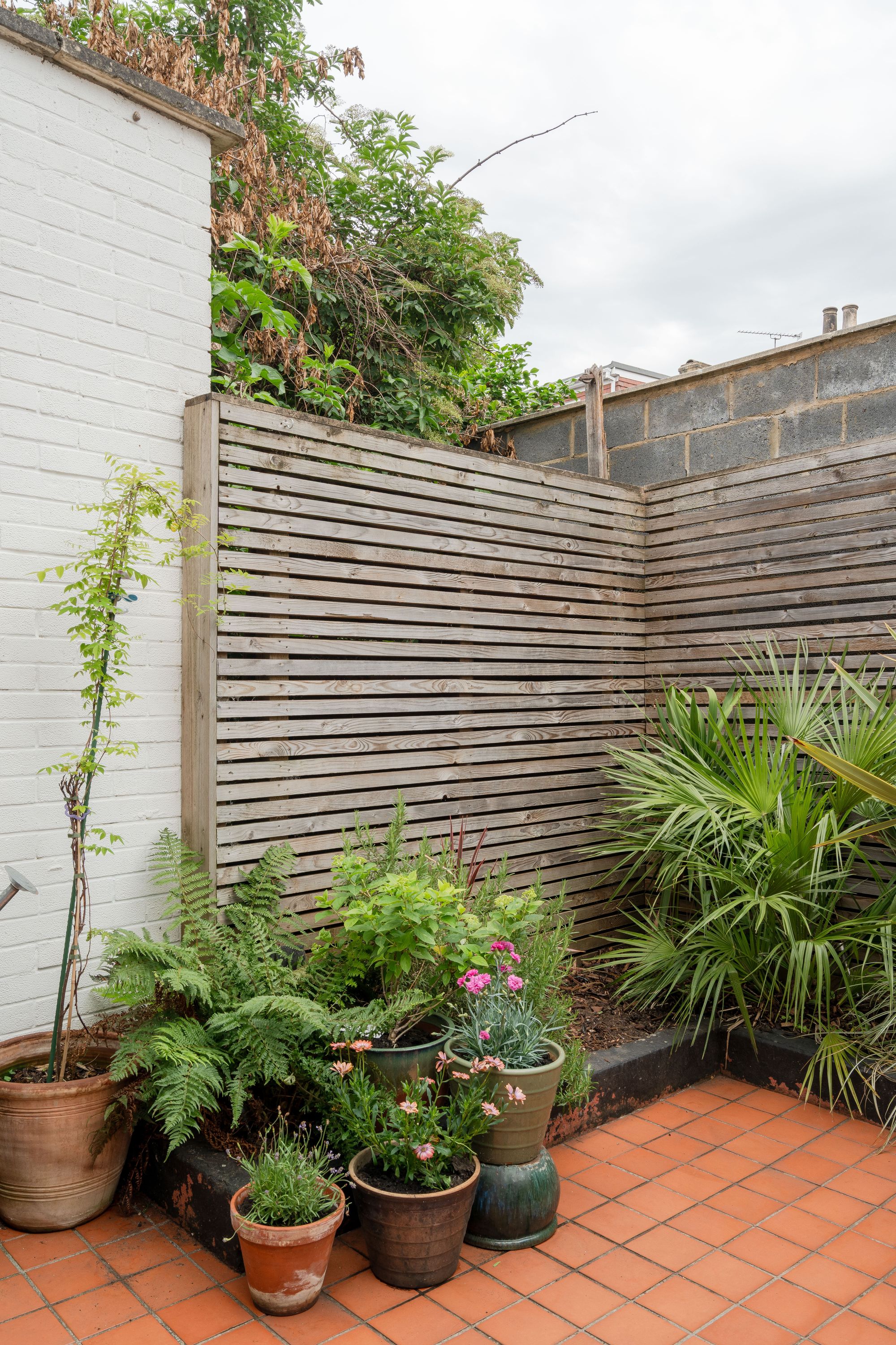 3 bed terraced house for sale in Studley Road, Forest Gate, London, E7  - Property Image 33