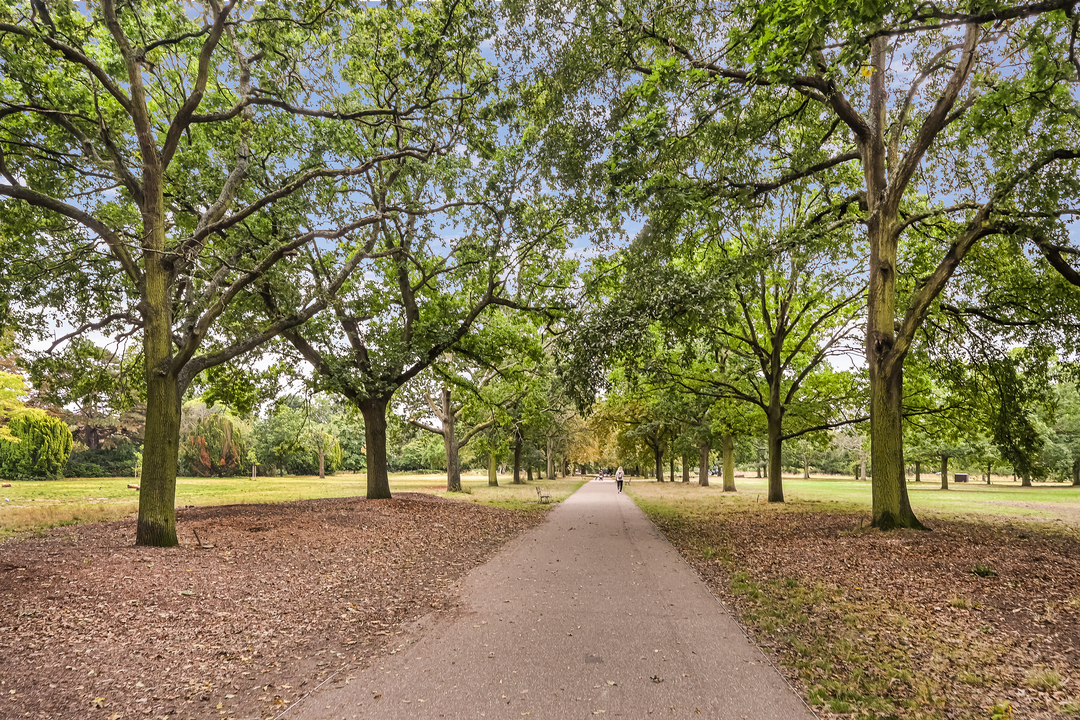 5 bed semi-detached house for sale in Lyncroft Gardens, Ealing, London, W13  - Property Image 27