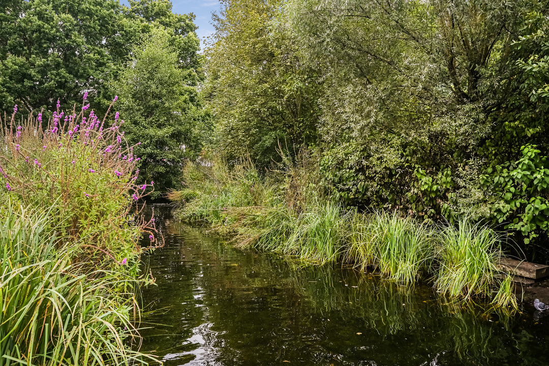 5 bed semi-detached house for sale in Lyncroft Gardens, Ealing, London, W13  - Property Image 29