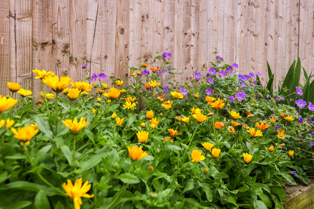 4 bed terraced house for sale in Mayfield Avenue, Ealing, London, W13  - Property Image 14
