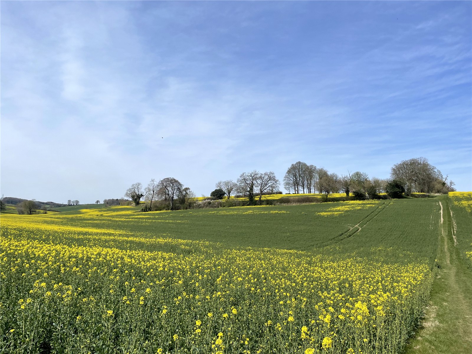 4 bed detached house for sale in Common Road, Kensworth, Bedfordshire, LU6  - Property Image 27