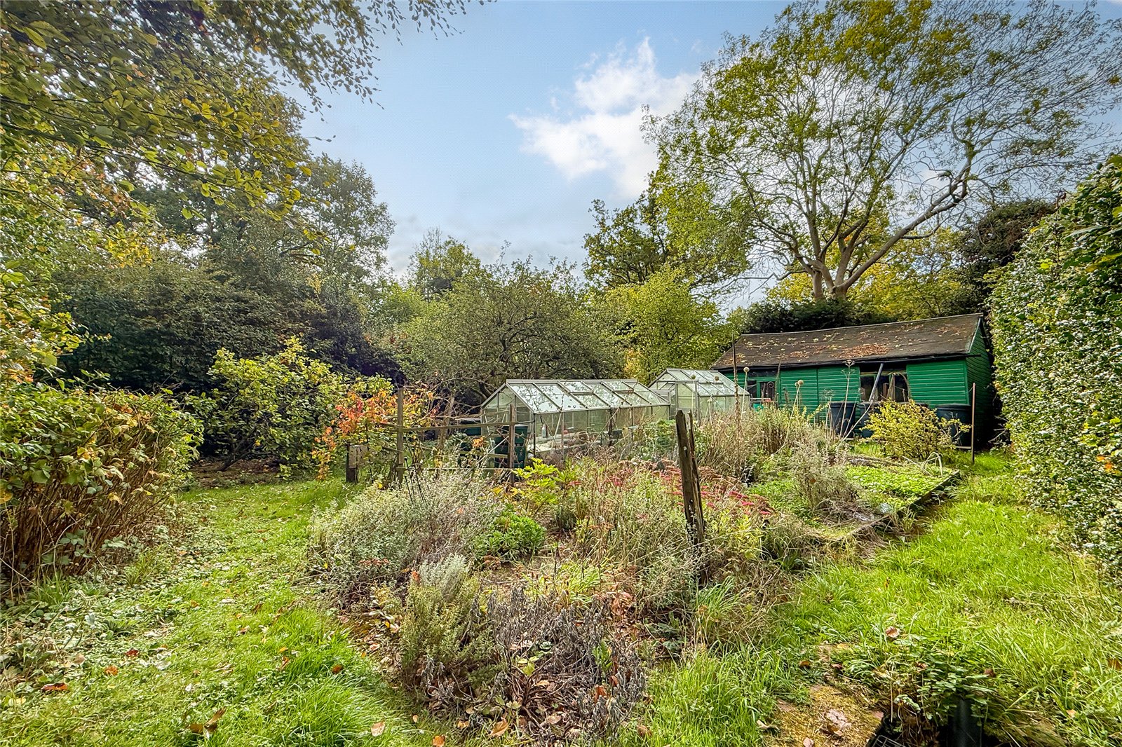 4 bed detached house for sale in Marshalswick Lane, St. Albans, Hertfordshire, AL1  - Property Image 12