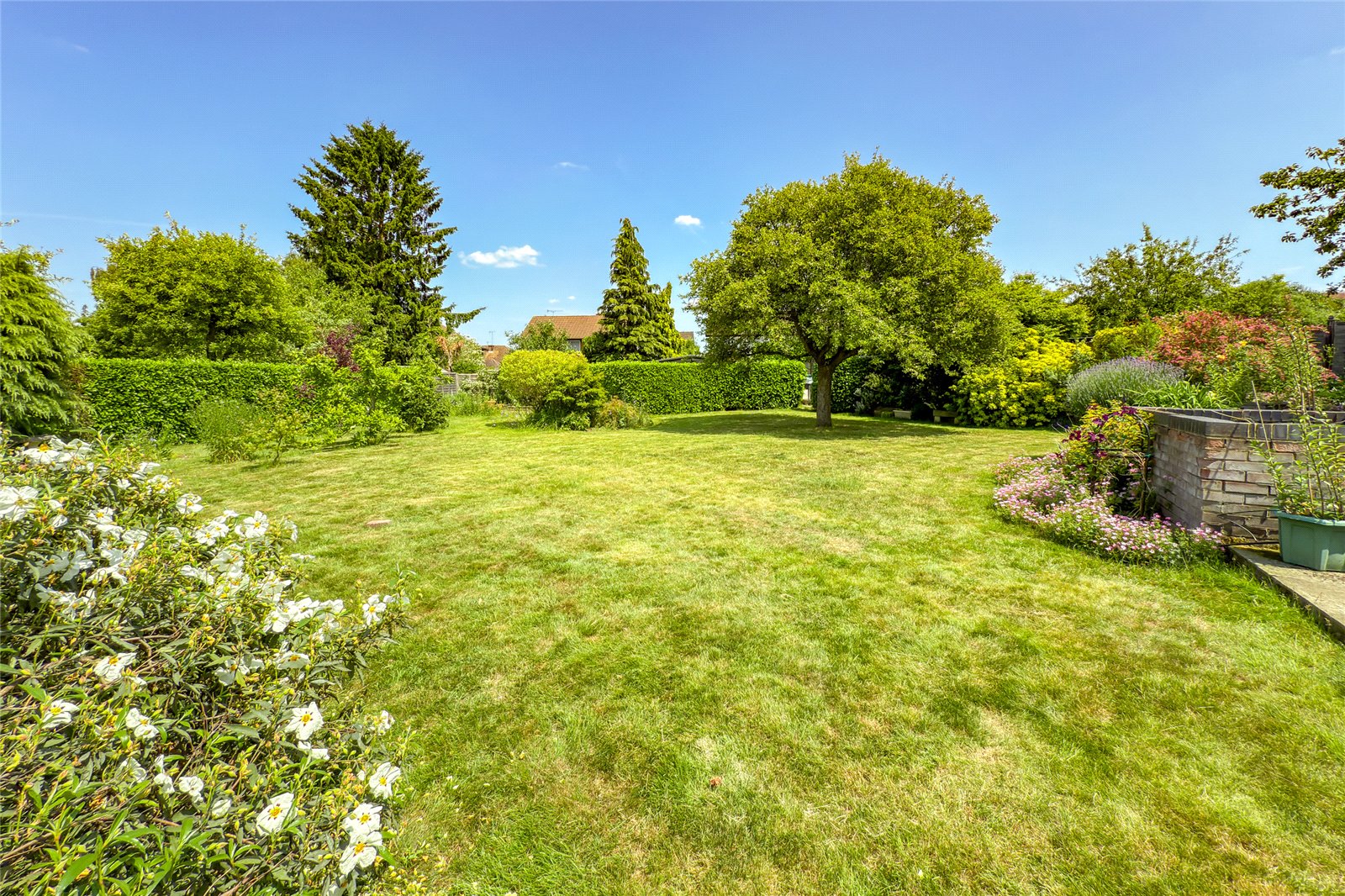 4 bed semi-detached house for sale in Evans Grove, St. Albans, Hertfordshire, AL4  - Property Image 3