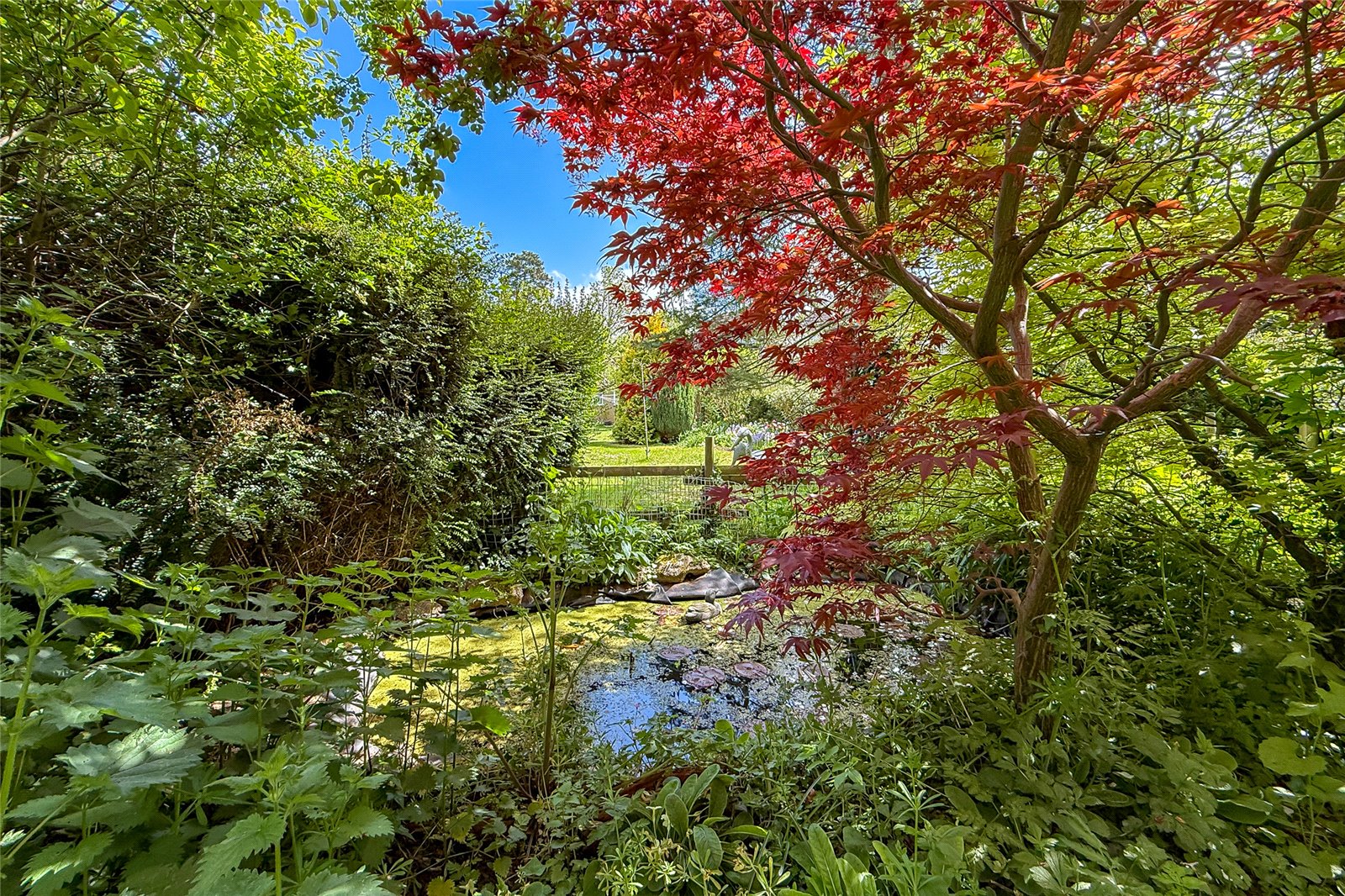 2 bed detached bungalow for sale in St. Albans Road, Sandridge, St. Albans, Hertfordshire, AL4  - Property Image 12