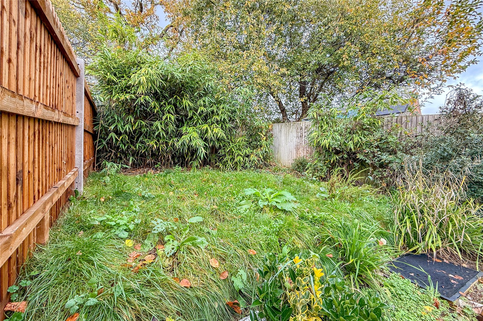 3 bed terraced house for sale in Richard Stagg Close, St. Albans, Hertfordshire, AL1 - Property Image 11