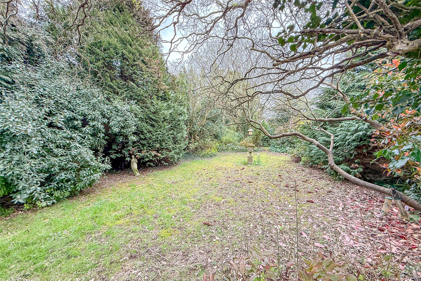 2 bed semi-detached bungalow for sale in Hollybush Avenue, St. Albans, Hertfordshire, AL2 - Property Image 13