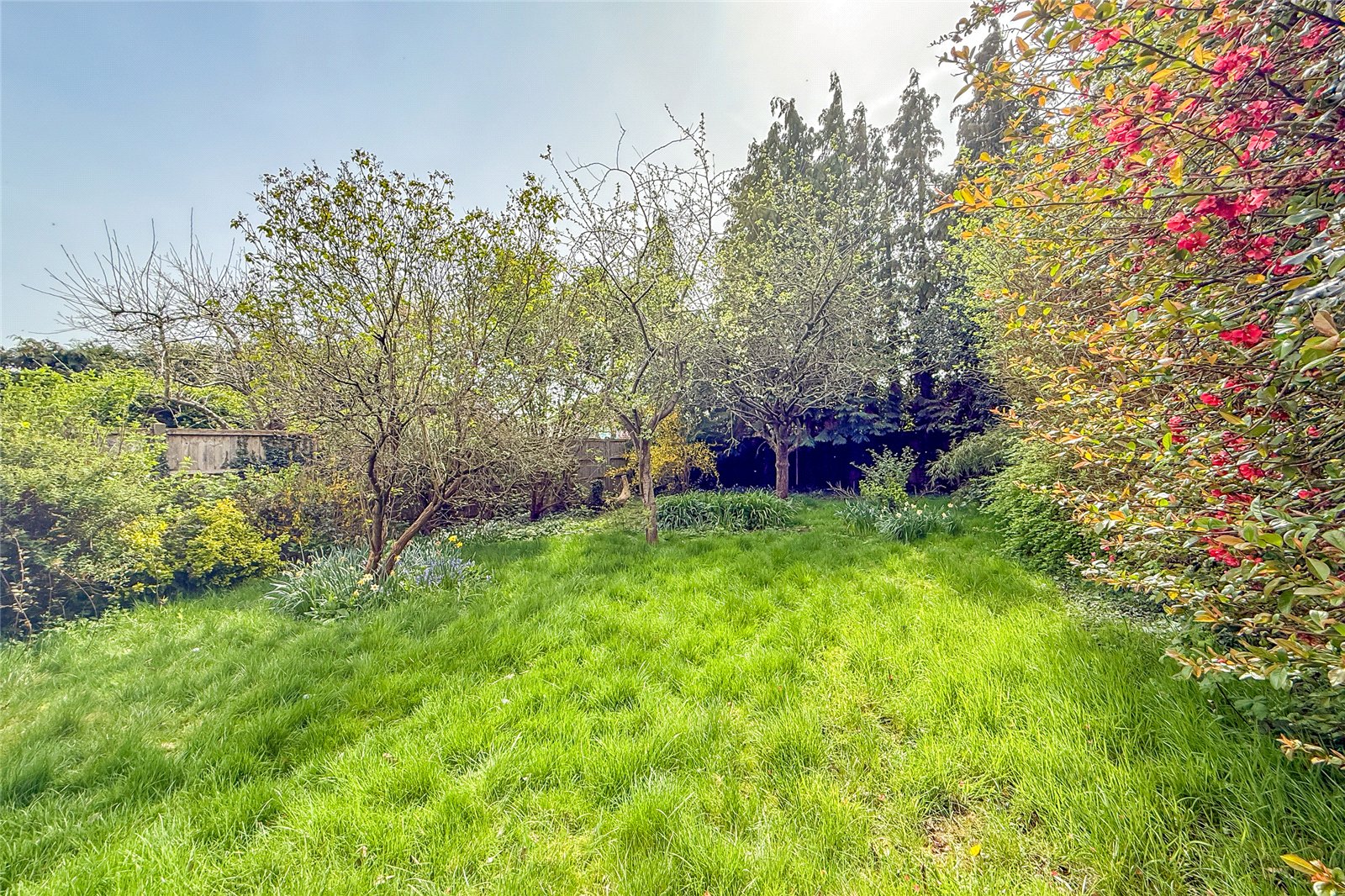 2 bed semi-detached bungalow for sale in Hollybush Avenue, St. Albans, Hertfordshire, AL2 - Property Image 8