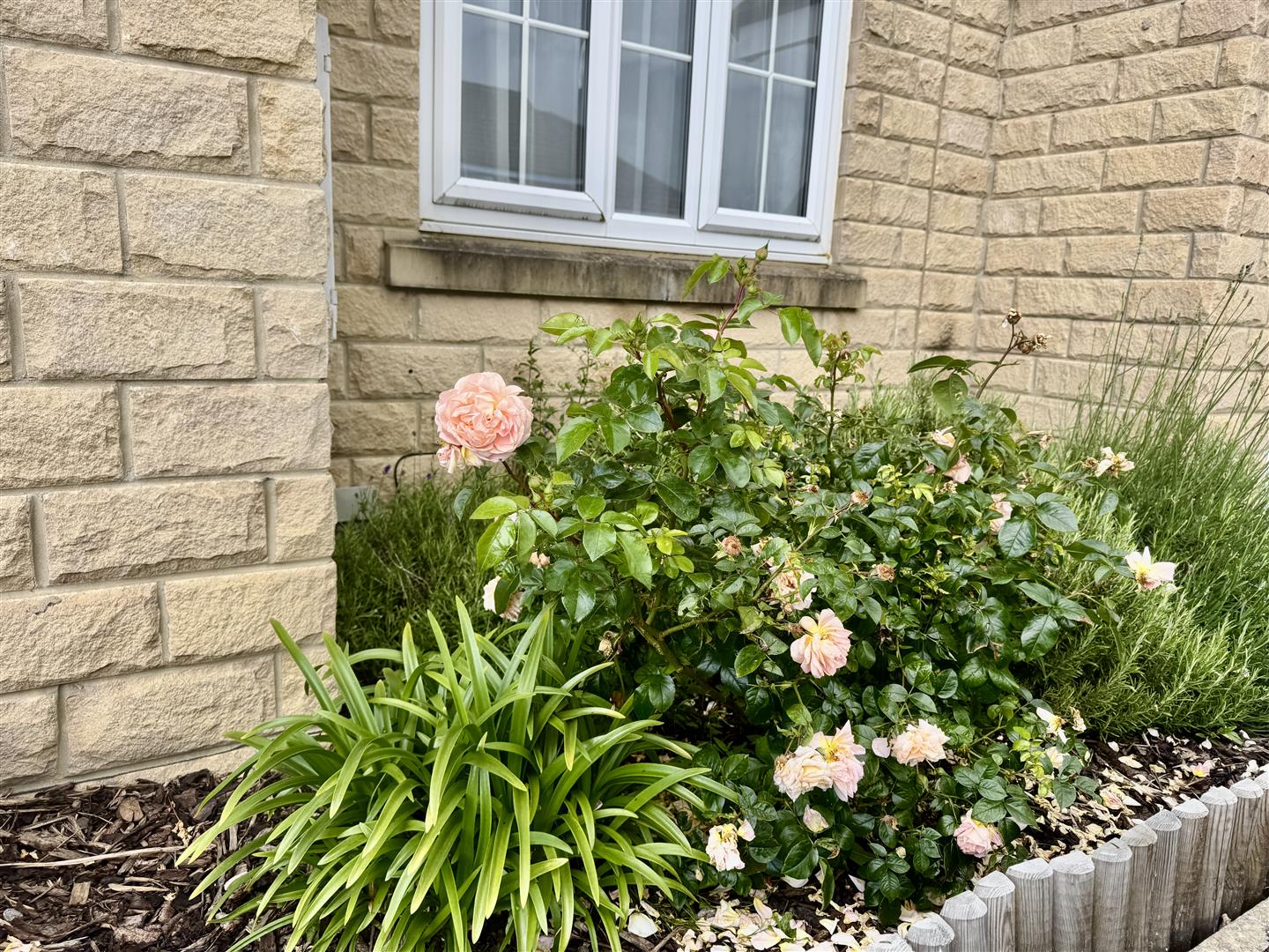 2 bed end of terrace house for sale in The Knoll, Keighley, BD22 6FD  - Property Image 11