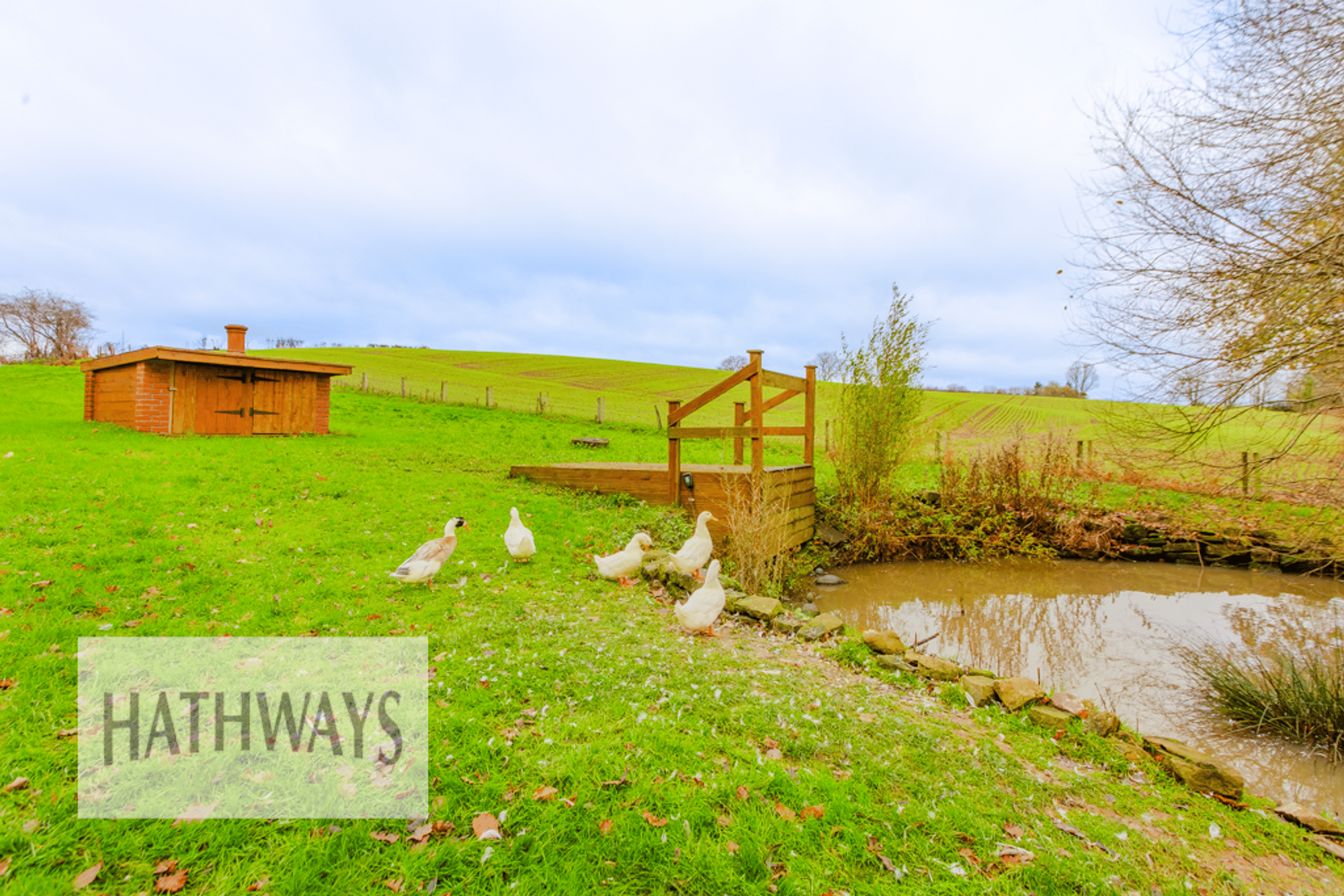 4 bed detached house for sale in Llangybi, Usk 69