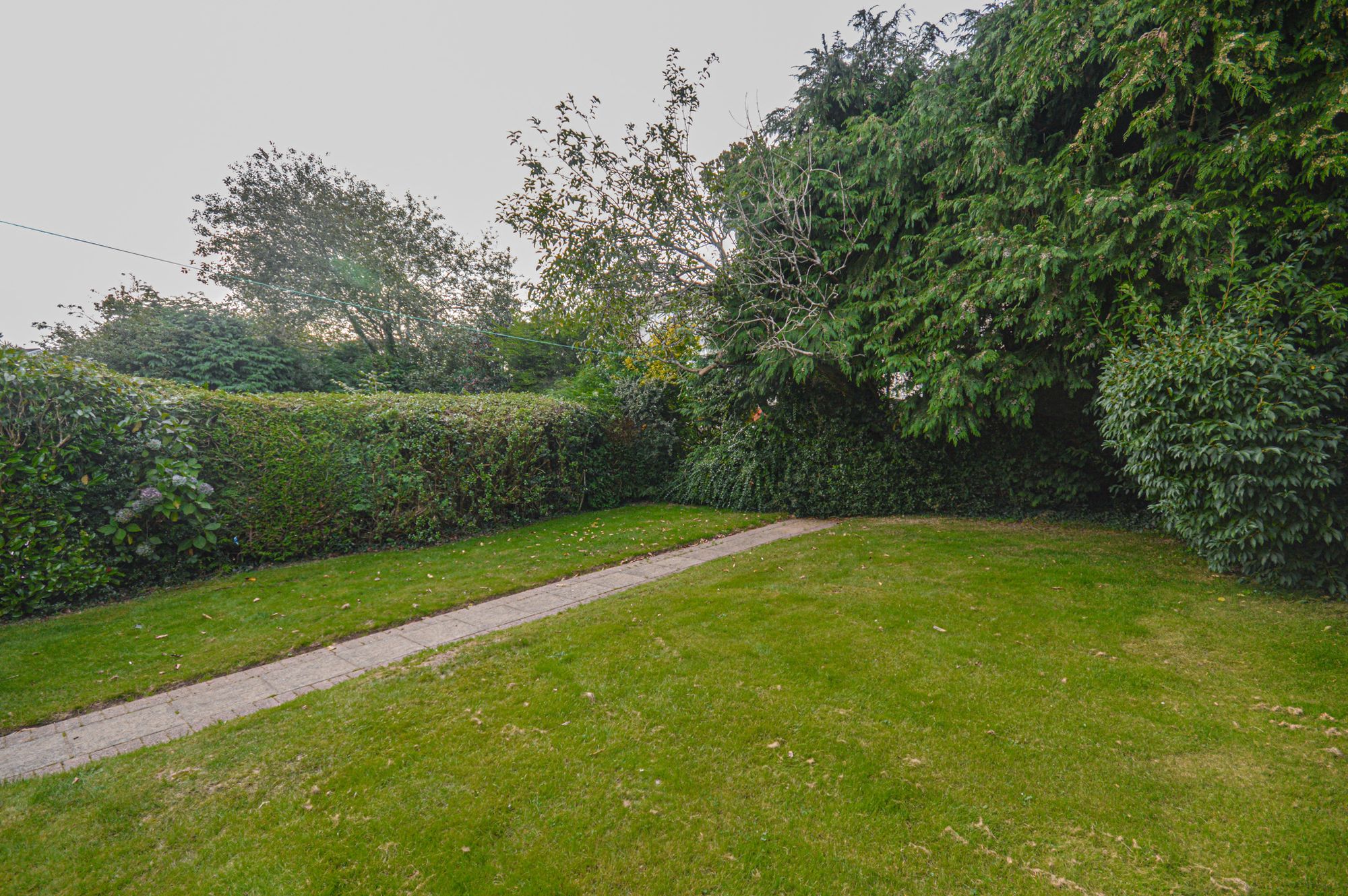 3 bed to rent in Fairfield Road, Newport  - Property Image 27