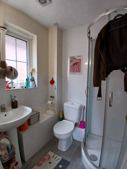 Detached house to rent in The Swale, Norwich, Norfolk  - Property Image 10