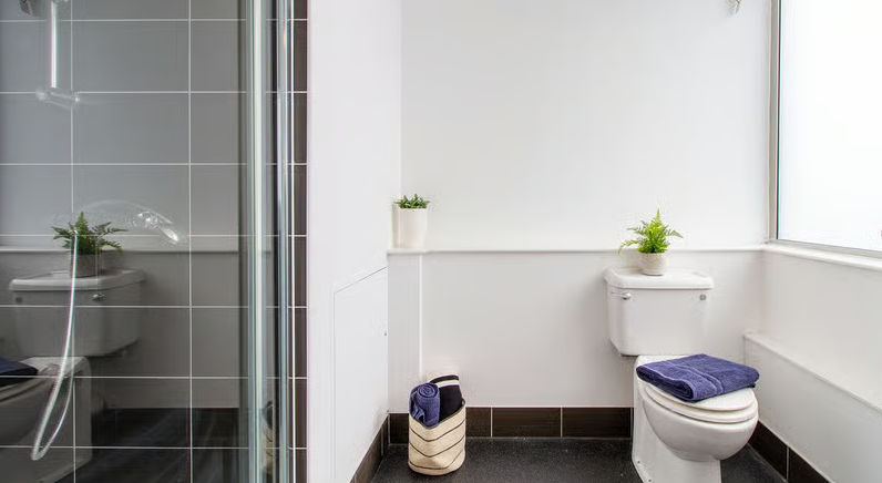 1 bed studio flat to rent in Chelsea Lightfoot Hall, Manresa Road, London  - Property Image 4