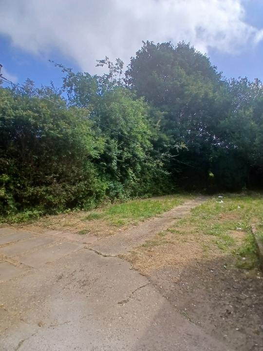 To rent in Savery Close, Norwich, Norfolk  - Property Image 11