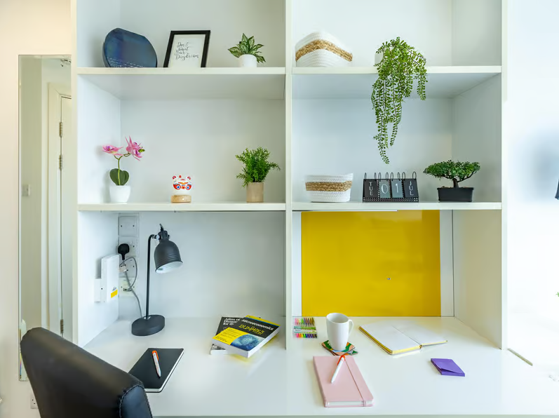 1 bed studio flat to rent in Chelsea Lightfoot Hall, Manresa Road, London  - Property Image 3