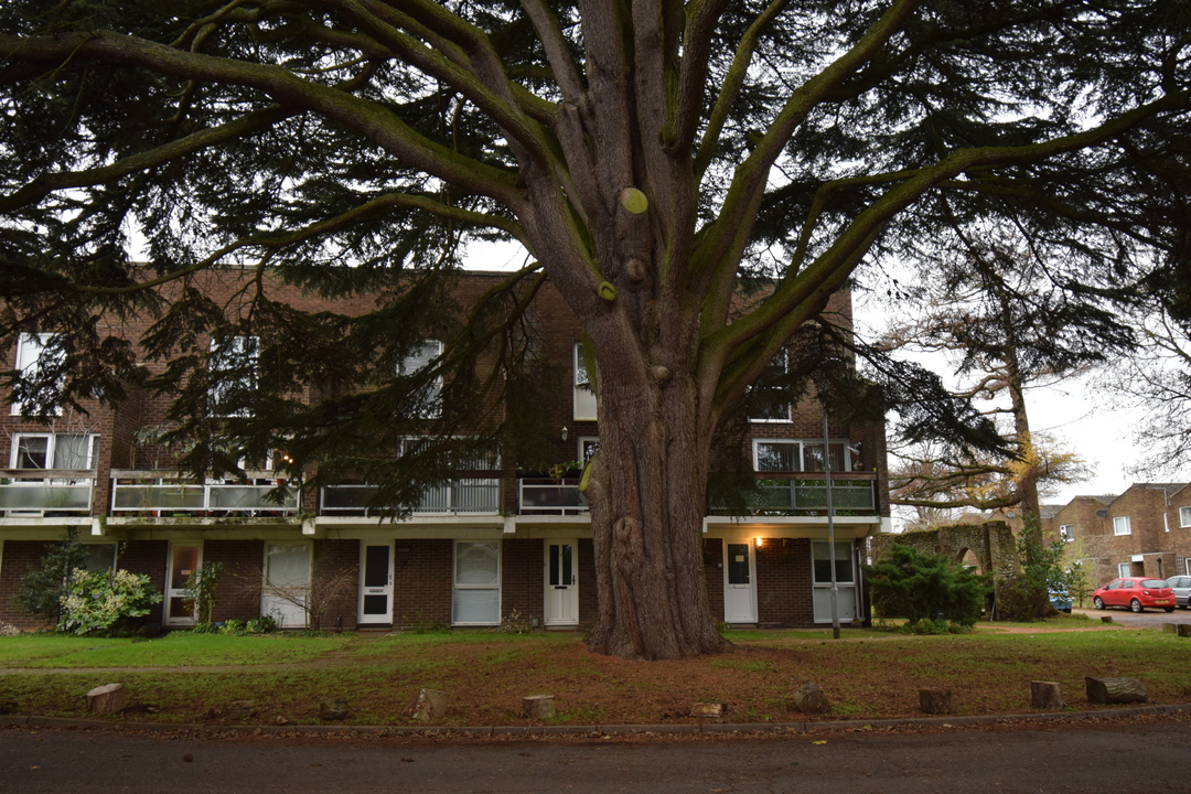 2 bed apartment to rent in Cairns Court, Norwich, Norwich 11