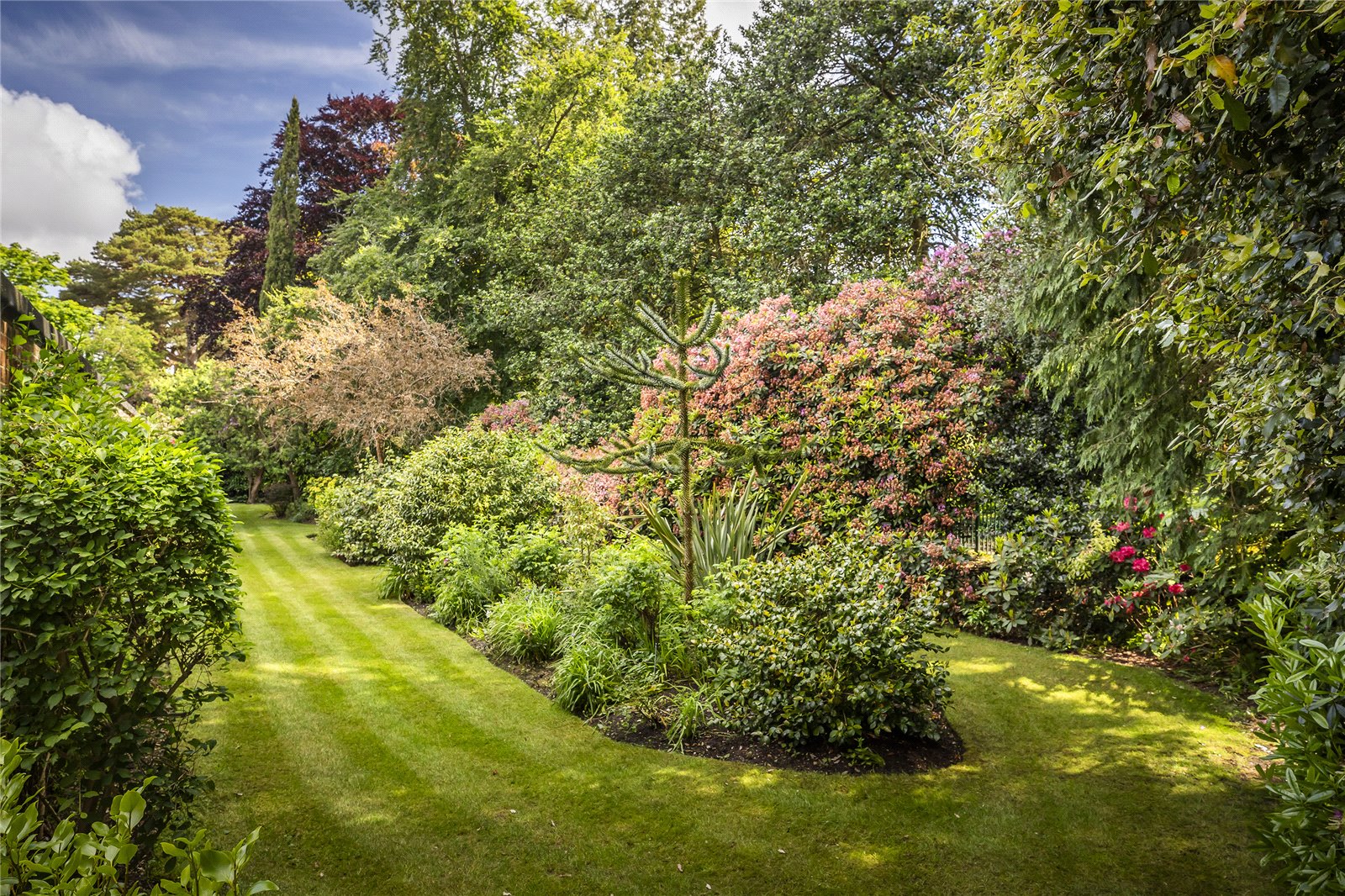 3 bed apartment for sale in The Avenue, Branksome Park, BH13 14