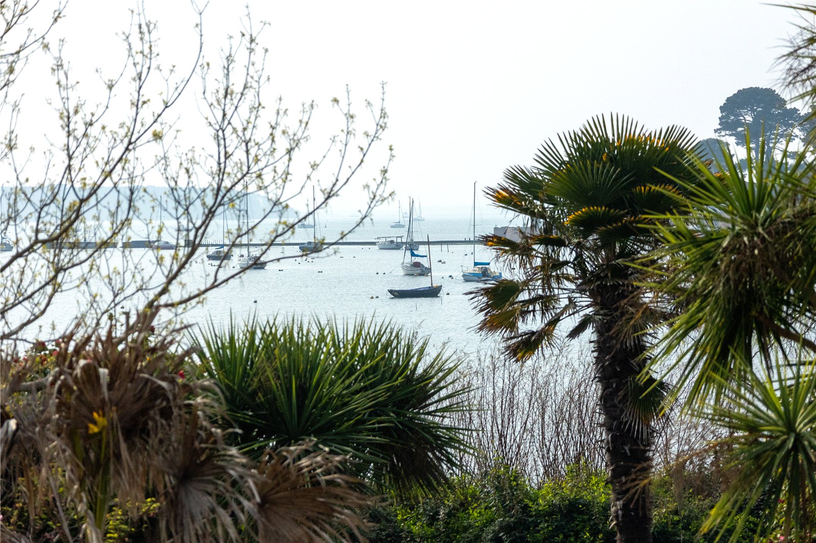 6 bed detached house for sale in Sandbanks Road, Poole, BH14  - Property Image 25