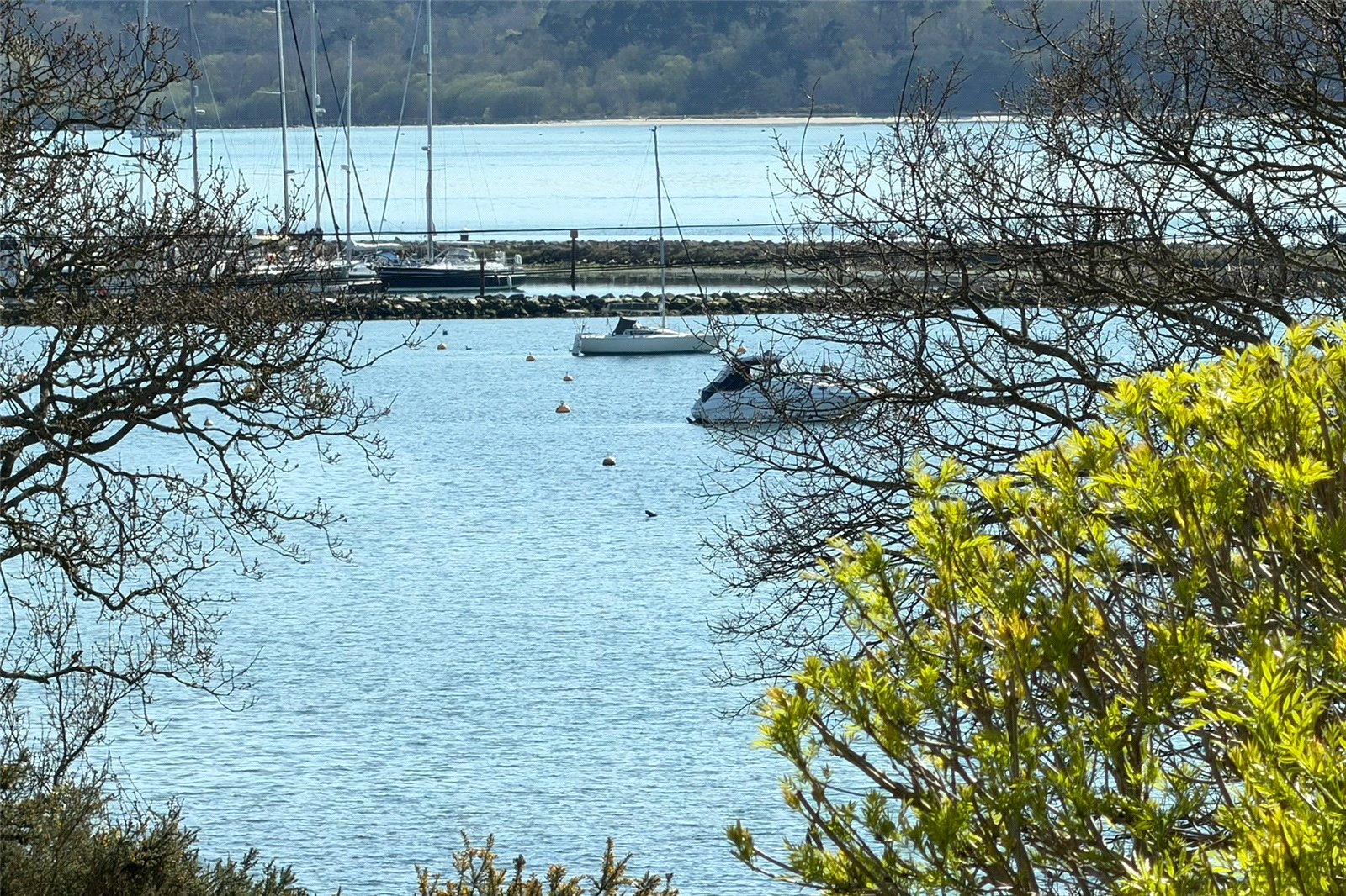 4 bed detached house for sale in Whitecliff Road, Poole, BH14 25