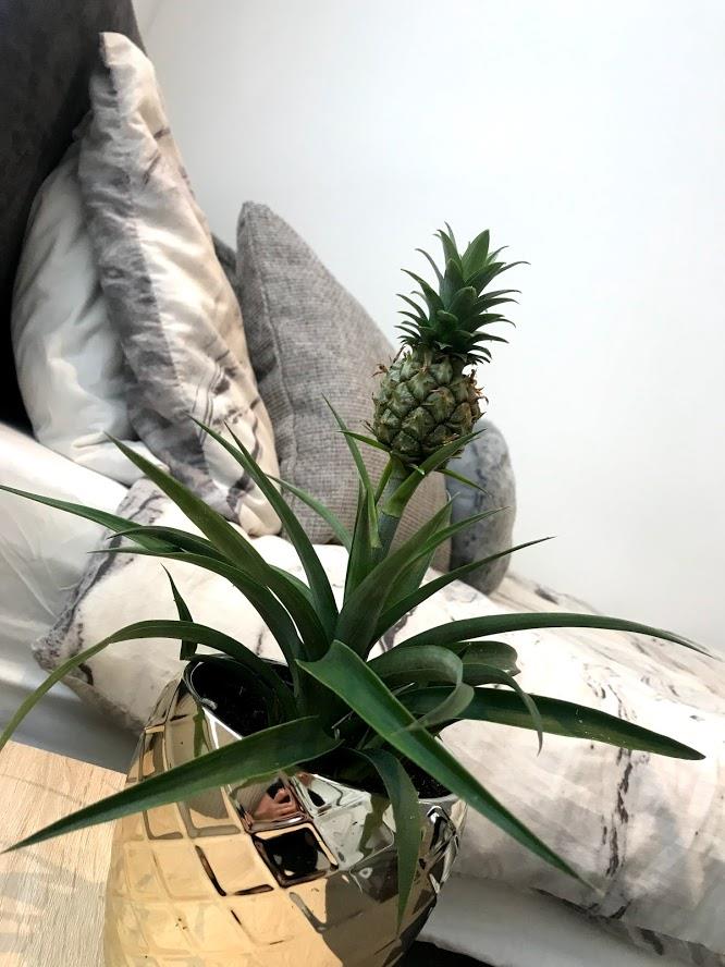 1 bed house share to rent in Heath Street, Burnley, BB10