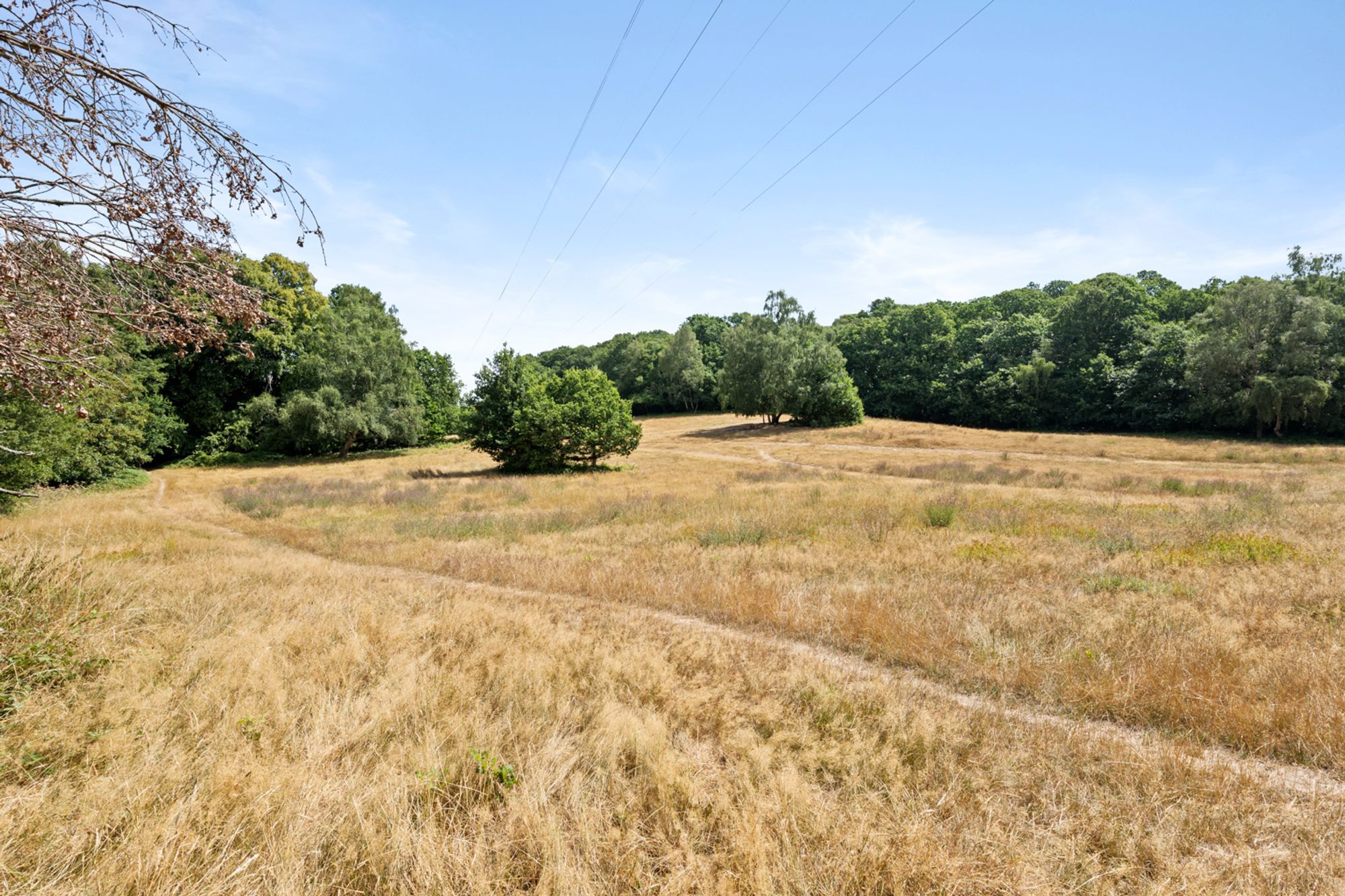 2 bed semi-detached bungalow for sale in Croham Valley Road, South Croydon, CR2  - Property Image 4